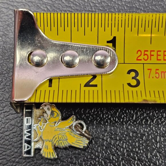 Iowa Hawk Hawkeye Necklace Pendant Bracelet Charm Lindor Sterling - Picture 4 of 4